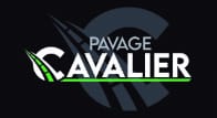 Pavage Cavalier